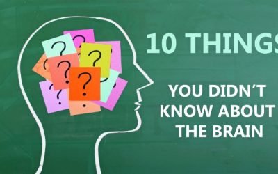 10 Things you did not know about your brain