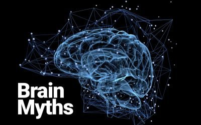 Brain myths